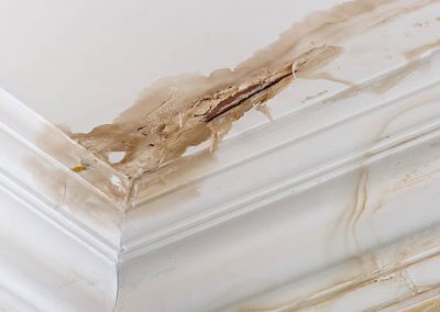 Home Restoration-Ceiling Damage